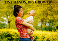 Tiny Hands, Big Growth